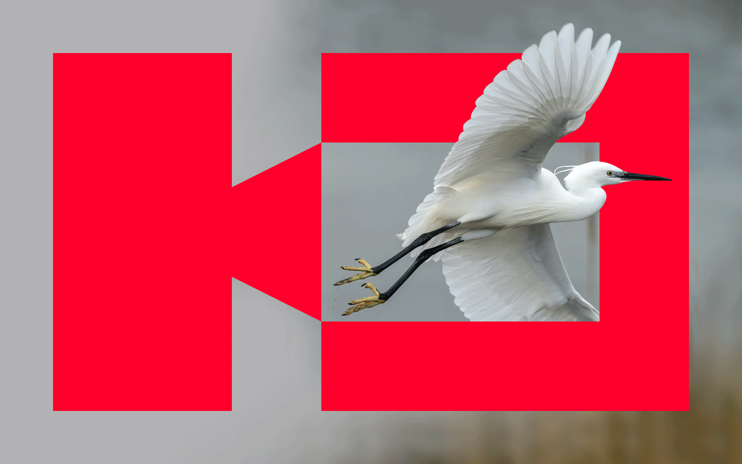 Half frame logo with a crane image incorporated