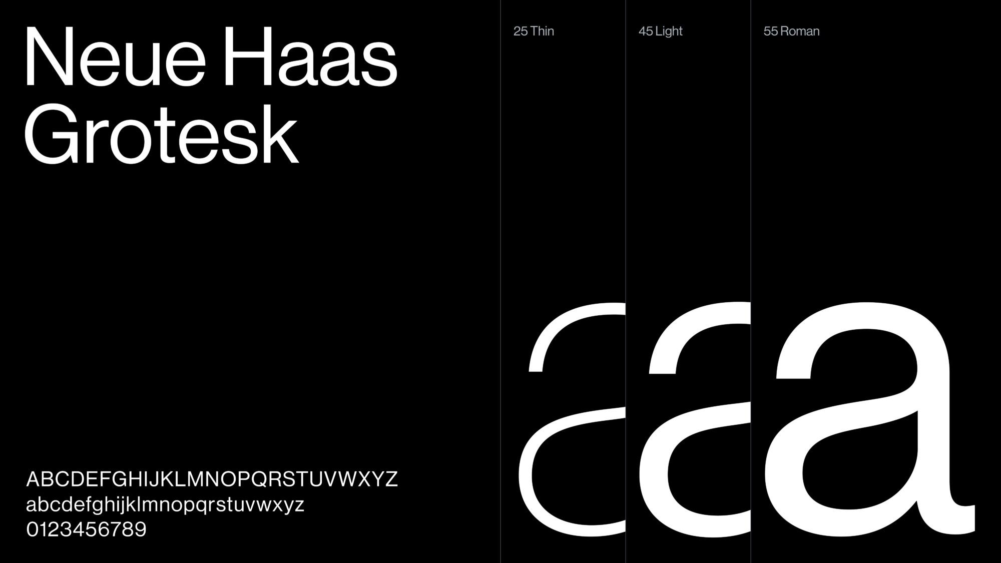 Type Final